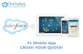 Nomalys for Salesforce - Crush your quota!