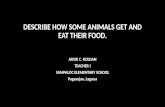 Describe how some animals get and eat their