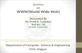 World Wide Web(WWW)