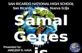 Samal Genesis