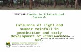 Influence of light and summer rainfall in germination and early development of Pinus pinaster Ait.