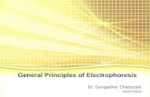 General principles of electrophoresis