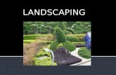 Local Landscaping Services in Houston Area