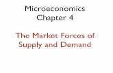 101 lecture 4 supply and demand