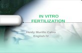 In vitro fertilization presentacion