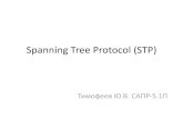Spanning tree protocol (stp)
