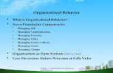 Organizational behavior ppt @ bec doms