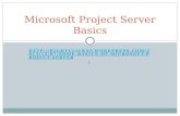 Microsoft Project Server Basics