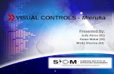 Visual Controls - Mieruka