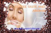 Coffee taste-and-aroma