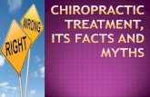 Chiropractic Treatment Facts And Myths