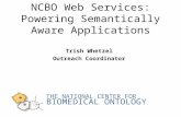 NCBO Web Services: Powering Semantically Aware Applications