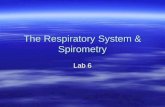 Lab 06    Spirometry