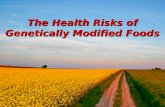 The Health Risks of Genetically Modified (GMO) Foods