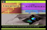 Emergenetics The Basics