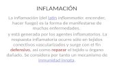 Diapositivas inflamación