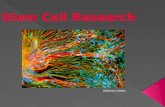 Stemcell 110417211605-phpapp01[2]