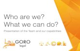 Presentation legal firm «GORO legal»