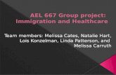 Ael 667 group project