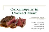 Carcinogens in Cooked Meat