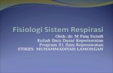 Fisiologi sistem respirasi