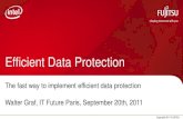 IT FUTURE 2011 - Efficient Data Protection