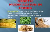 Genetic Modification In Foods