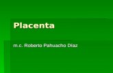 Placenta Clase