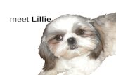 Meet Lillie