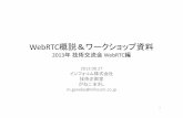 2013 WebRTC 概説　＆　ワークショップ