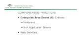 2/9 Curso JEE5, Soa, Web Services, ESB y XML