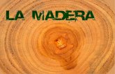 Los Materiales, la Madera