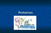 Proteinas 2013