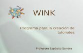 Presentacion Wink Imagen