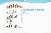 Evolucion 1