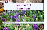 Lesson 1: Functions and their Representations