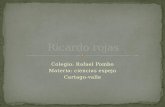 Calcium, Ricardo Rojas