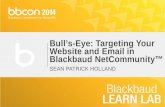 Bulls Eye: Targeting Your Website and Email in Blackbaud NetCommunity