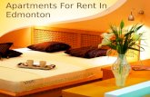 Apartments for rent in edmonton