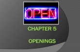 Chapter 5   openings