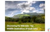 Top 10 Wildlife Sanctuaries of South India