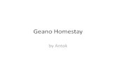 Geano Homestay Bromo