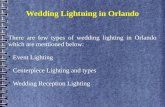 Wedding lightning in orlando