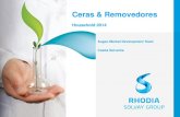 Rhodia - Coalescentes sustentáveis e removedores de  cera de baixo odor - Darlene Felix