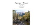 Carson river assignment gel 103