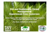 Ingram & Fon Strategic environmental assessment & Environmental impact asessment Community forests in Cameroon 2007