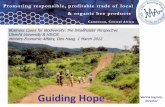 Business case for social, ethical and certified organic trade in apiculture products from Cameroon;.