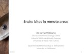 Snake-bites in remote areas by Dr David Williams