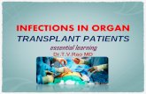 INFECTIONS IN ORGAN TRANSPLANT PATIENTS essential learning