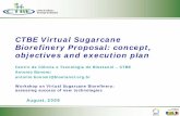 CTBE Virtual Sugarcane Biorefinery Proposal: concept, objectives and execution plan